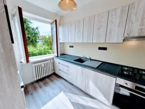 Pronájem bytu 3+1, Ústí nad Labem - Klíše, Slavíčkova, 65 m2
