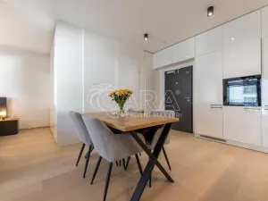Pronájem bytu 1+kk, Praha - Holešovice, V háji, 44 m2