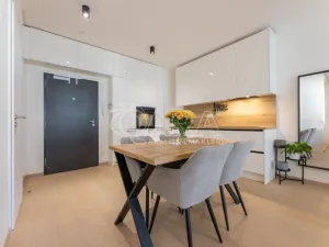 Pronájem bytu 1+kk, Praha - Holešovice, V háji, 44 m2