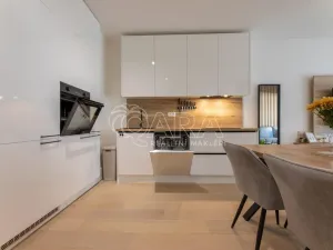 Pronájem bytu 1+kk, Praha - Holešovice, V háji, 44 m2