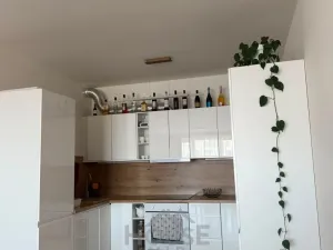 Prodej bytu 3+kk, Praha - Dolní Měcholupy, Kardausova, 89 m2