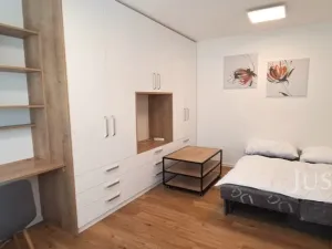 Pronájem bytu 1+1, Písek, 17. listopadu, 41 m2