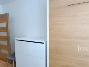 Pronájem bytu 1+1, Písek, 17. listopadu, 41 m2