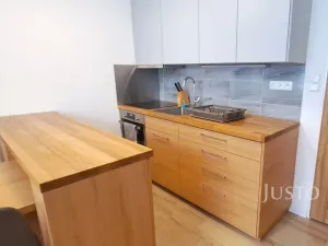 Pronájem bytu 1+1, Písek, 17. listopadu, 41 m2