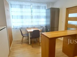 Pronájem bytu 1+1, Písek, 17. listopadu, 41 m2