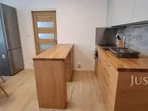 Pronájem bytu 1+1, Písek, 17. listopadu, 41 m2