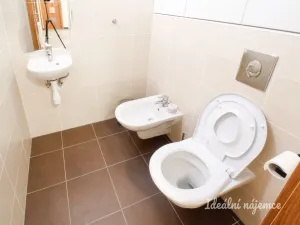 Pronájem bytu 3+kk, Brno, 73 m2