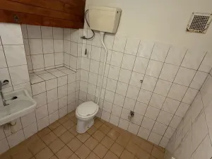 Prodej rodinného domu, Velký Týnec - Čechovice, Týnecká, 350 m2