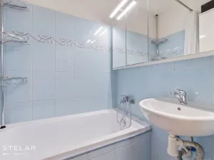 Prodej bytu 2+1, Brno, Renneská třída, 54 m2