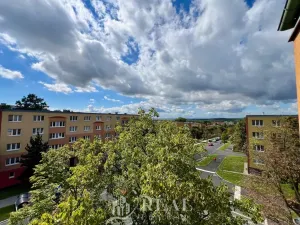 Prodej bytu 2+1, Most, 1. máje, 53 m2