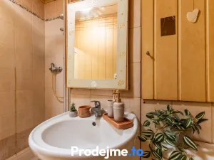 Prodej bytu 1+kk, Znojmo, Přímětická, 21 m2