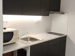Pronájem bytu 1+kk, Brandýs nad Labem-Stará Boleslav - Brandýs nad Labem, Zahradnická, 34 m2