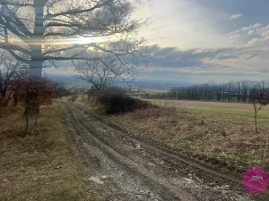 Prodej louky, Bělkovice-Lašťany, 27123 m2