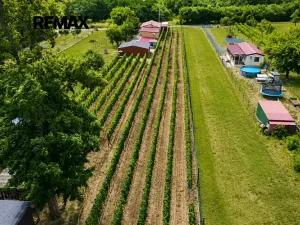Prodej zahrady, Břeclav, 1560 m2