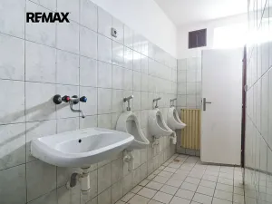 Prodej rodinného domu, Podivín, Rybáře, 170 m2