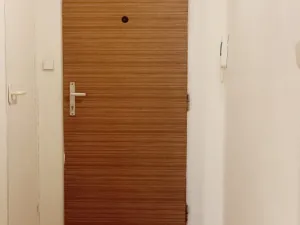 Pronájem bytu 1+kk, Ostrava - Moravská Ostrava, U Parku, 30 m2