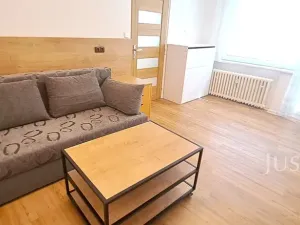 Pronájem bytu 1+1, Písek, 17. listopadu, 41 m2