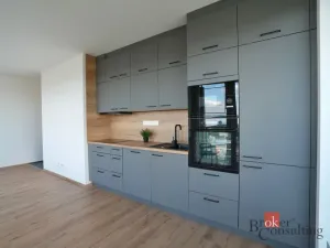 Pronájem bytu 2+kk, Plzeň - Bolevec, Krašovská, 53 m2