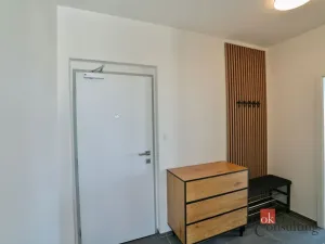 Pronájem bytu 2+kk, Plzeň - Bolevec, Krašovská, 53 m2