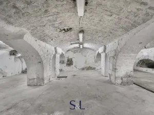 Prodej výrobních prostor, Železný Brod, 2098 m2
