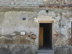 Prodej podílu vícegeneračního domu, Olšany, 831 m2