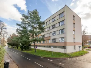 Pronájem bytu 1+1, Děčín, Růžová, 35 m2