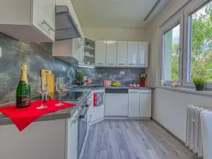 Pronájem bytu 2+1, Chomutov, Blatenská, 52 m2