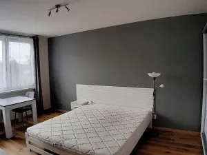Pronájem bytu 1+kk, Praha - Modřany, Nikoly Vapcarova, 32 m2