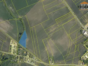 Prodej pole, Brandýs nad Labem-Stará Boleslav, 14043 m2