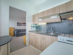 Pronájem bytu 1+1, Ostrava, Resslova, 29 m2