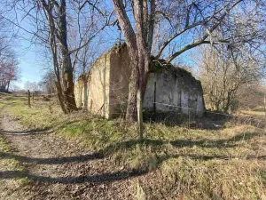 Dražba pozemku pro bydlení, Dolní Dvořiště, 11107 m2