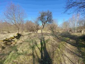 Dražba pozemku pro bydlení, Dolní Dvořiště, 11107 m2