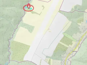 Prodej podílu lesa, Šarovy, 2437 m2