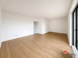 Prodej bytu 2+kk, Plzeň - Jižní Předměstí, Železná, 58 m2