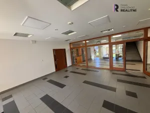 Prodej bytu 3+1, Ostružná - Ramzová, 113 m2
