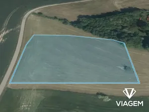 Prodej podílu pole, Zvěstov, 1222 m2