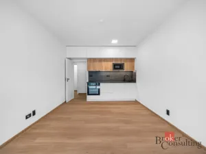 Prodej bytu 1+kk, Brno - Zábrdovice, Bratislavská, 40 m2