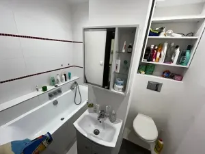Prodej bytu 1+1, Frýdek-Místek, Beethovenova, 40 m2