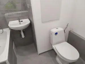 Pronájem bytu 1+kk, Ostrava, Bohumínská, 27 m2