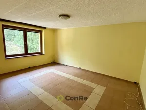 Prodej rodinného domu, Provodín, 297 m2