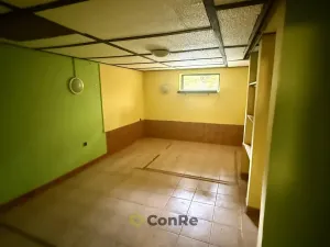 Prodej rodinného domu, Provodín, 297 m2