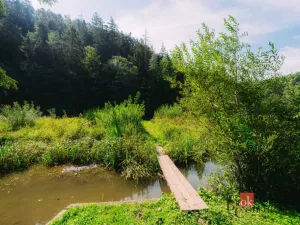 Prodej chaty, Plasy, 56 m2