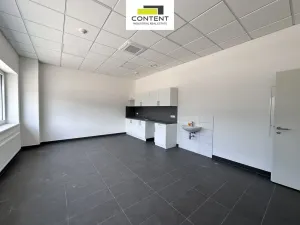 Pronájem výrobních prostor, Linhartice, 11000 m2