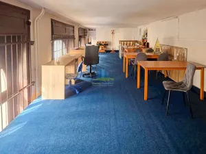 Prodej obchodního prostoru, Aš, Sadová, 241 m2