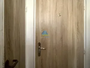 Prodej bytu 1+1, Plesná, Světlá, 35 m2