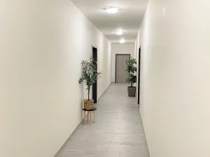 Pronájem bytu 2+kk, Borovany - Trocnov, 51 m2