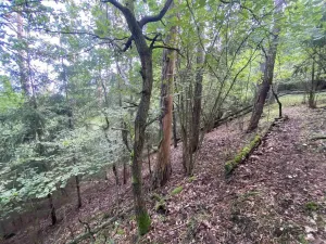 Prodej pozemku, Křečovice - Nahoruby, 3382 m2