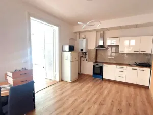 Pronájem bytu 1+1, Olomouc, Kačení, 55 m2