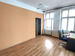 Pronájem bytu 1+1, Olomouc, Kačení, 55 m2