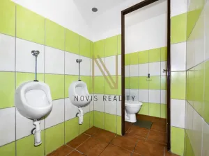 Pronájem obchodního prostoru, Domažlice - Dolejší Předměstí, Husova třída, 140 m2